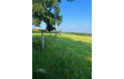 53 Hwy, Clayton, AL 36016