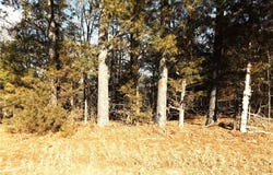 Lot 2 Iroquois  DR, Cherokee Village, AR 72529
