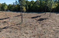 Lot 11 Millville Road, Lawrenceville, VA 23698