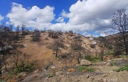 Kendall Rd, Caliente, CA 93518
