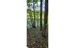 271 and 272 Robinson Ridge, Bellaire, MI 49615