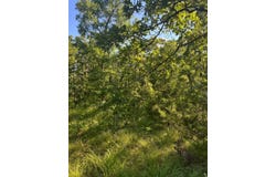 Tract 9B SE 1083 Road Ave, Red Oak, OK 74563