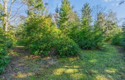 21333 BIRCH Pl, OceanPark, WA 98640