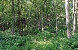 100 W South Street, Anderson, IN 46017