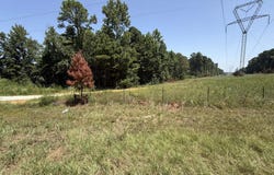 19292 FM 450, Diana, TX 75640