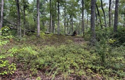 #S46 Cliffs Falls Parkway, Salem, SC 29676