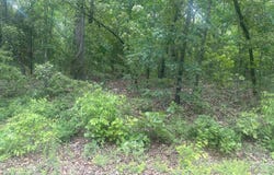 115-10742-000 W San Ildefonso Dr, Cherokee Village, AR 72529