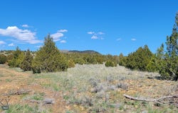Alder, MT 59710