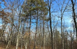 Wildwood Ave, Nevis, MN 56467