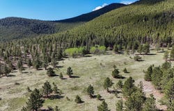 2900 Pole Hill Rd, Estes Park, CO 80517