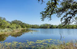 2050 W. 17th Street, Brady, TX 76825