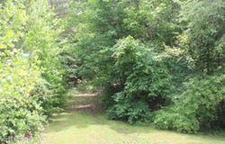 590 Richmond Road, Byhalia, MS 38611