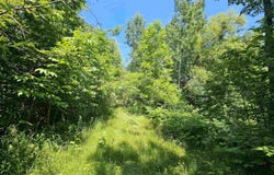 8xxxx State Highway 13, Washburn, WI 54891