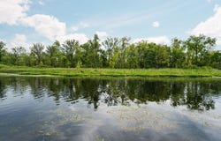 4405 Shoreview Lane, Whitmore Lake, MI 48189