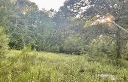 3508 Gilliland Creek Road, Huntington, TX 75949