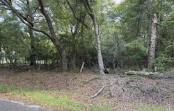 485 Corner Lake Road, Early Branch, SC 29916