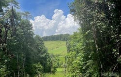 22 Fern Gully, Marshall, NC 28753