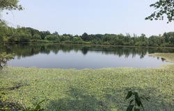 676 County Road 403, Alton, MO 65606