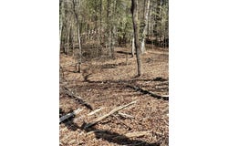 Tr 2 New Hope Road E, Ellijay, GA 30536
