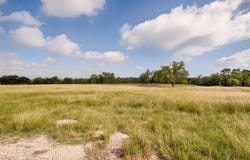 Lot 23 Goose Landing Way, Harper, TX 78631