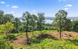 423 Keene Point Drive, Grant, AL 35747
