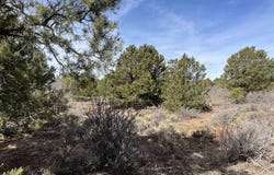 Lot 1 Road J.7, Egnar, CO 81325