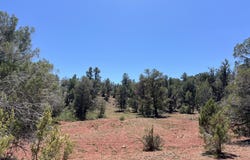 201 Cathedral Valley Road, Ash Fork, AZ 86320