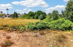 101 Morris Avenue, Hinckley, MN 55037