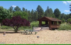574 S WALNUT CREEK Loop, Pinetop, AZ 85935