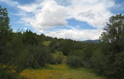 Tract C XYZ Ranch Road, Silver City, NM 88061