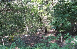 Tbd N 4309 Lane, Tuskahoma, OK 74574