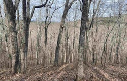 COUNTY ROAD 852, HEFLIN, AL 36264