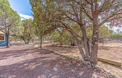 703 Backwoods Trail, Lakeside, AZ 85929