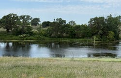 159 +/- Acres, Holt County, Lynch, NE 68746