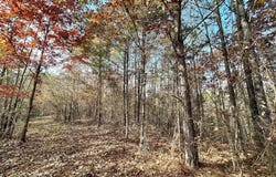 4 County Road 3122, McCool, MS 39108