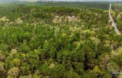 Morristown Rd lot: B, Jay, FL 32565