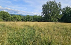 Tbd Quite Acres Lane, Glade Spring, VA 24340