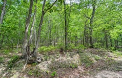 132 Ambers Drive, Jamestown, TN 38556