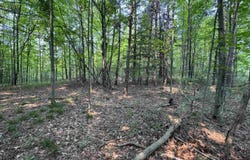 Lot #2 E Bellinger Road, Cedar, MI 49621