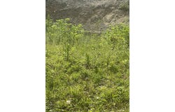 33 Walsh Ave, Auburn, MA 01501
