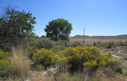 1111 Off of Hwy 10, Price, UT 84501
