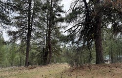 Sunset Loop lot: 16, Cascade, ID 83611