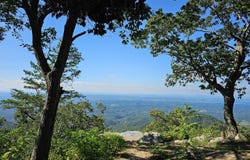 2820 Dupont Springs Rd, Sevierville, TN 37862
