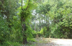 000 Eventide Rd, Milton, FL 32583