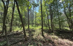 14.5 AC PCL A- OFF VIRGINIA LINE RD, BERKELEY SPRINGS, WV 25411