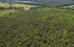 4034 Pencreek Road, Johnston, SC 29832
