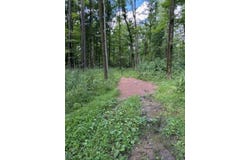 80 Acres N BRANCH ROAD, Wittenberg, WI 54499