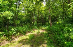 0 Elkton Farm Road, Forest, VA 24551