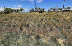 300 W 4th Street, Dinosaur, CO 81610