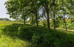 Lot 18 18.0 Acres Hefty Road, Monticello, WI 53570
